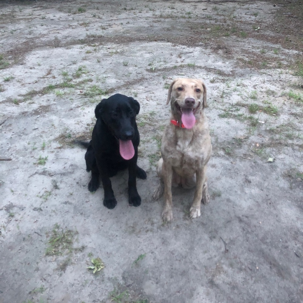 Meet your Posher, Ben